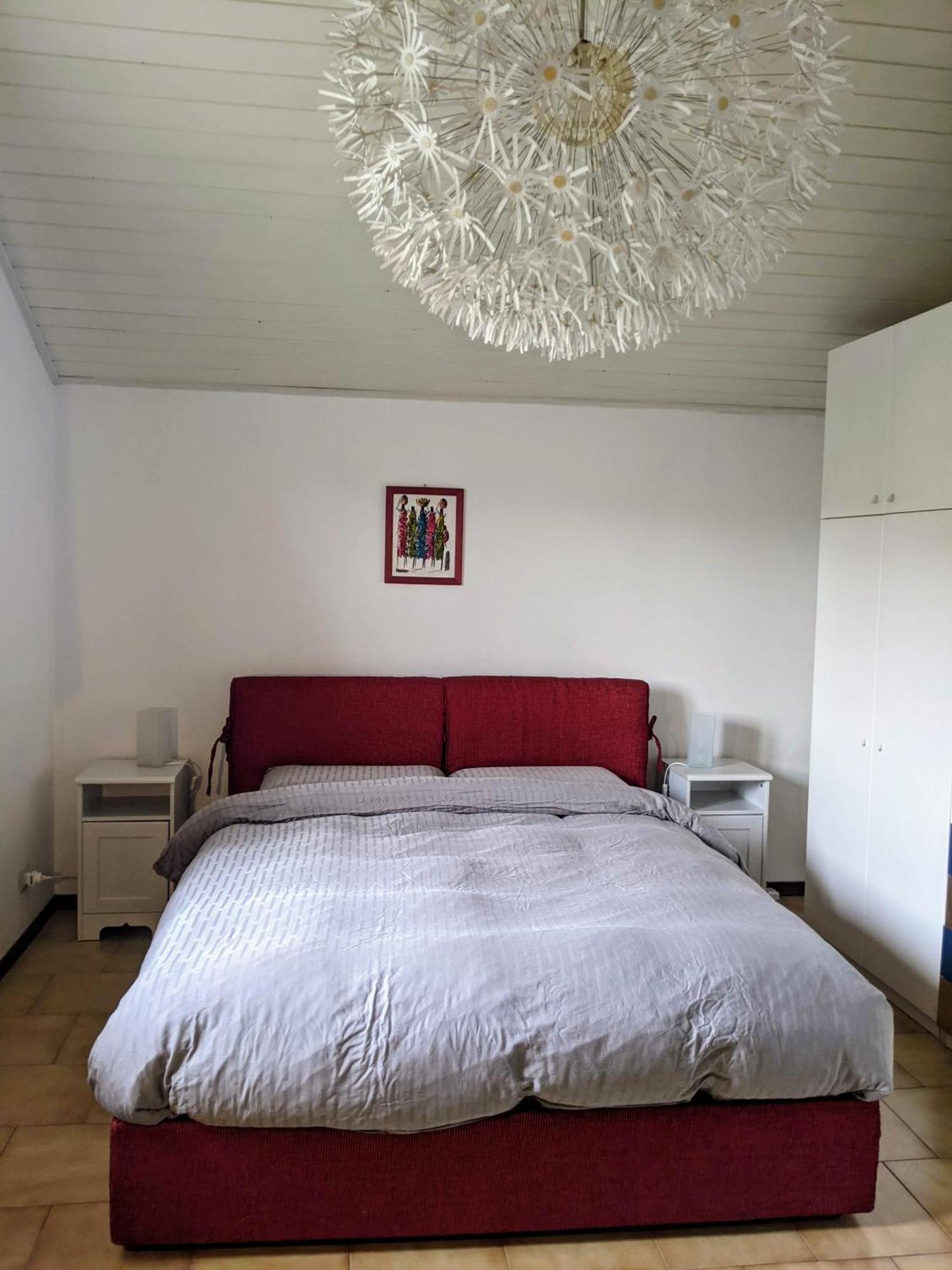 Lago Maggiore - Loft Apartment Ispra Eksteriør billede
