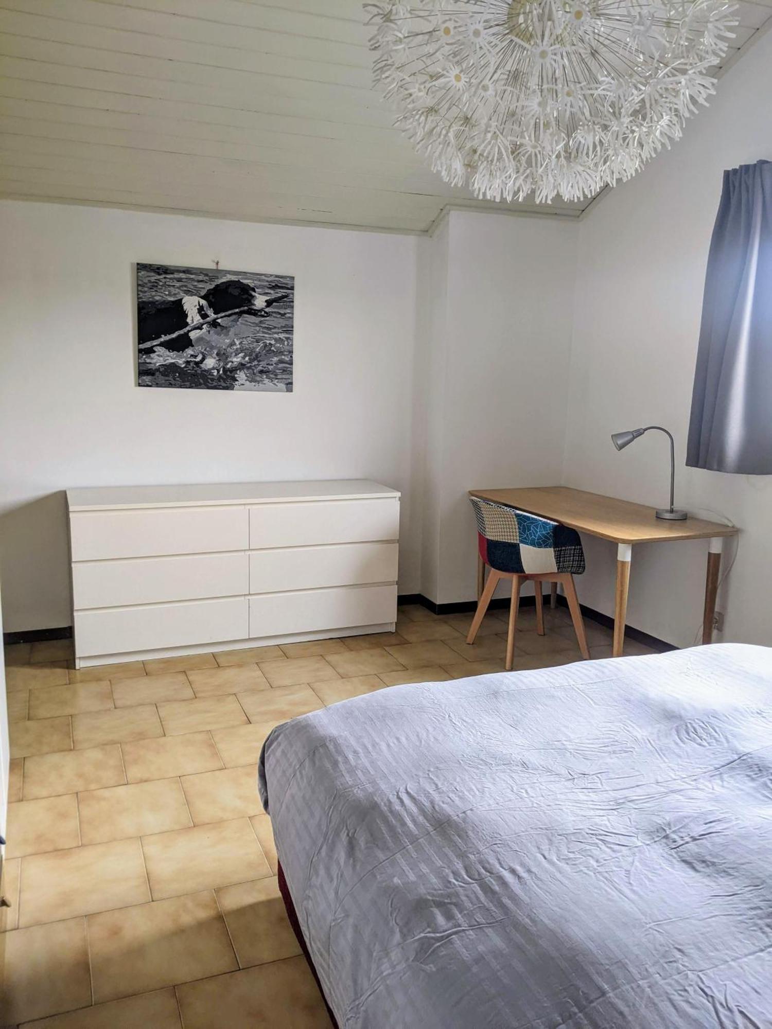 Lago Maggiore - Loft Apartment Ispra Eksteriør billede